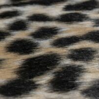 Kép 3/4 - Rodeo 204 cheetah szőnyeg 150*200 cm