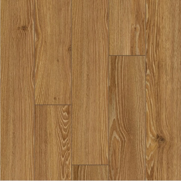 Classen 54946 the Brush Oak Honey 8 mm 